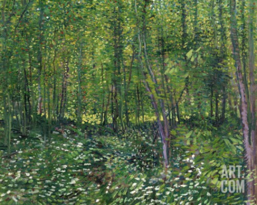 TREES AND UNDERGROWTH, C.1887