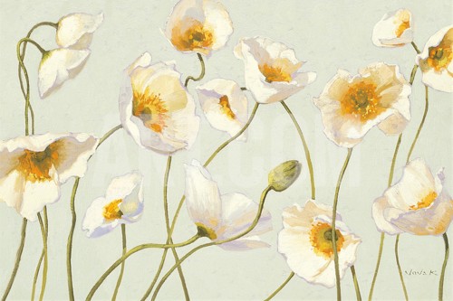WHITE AND BRIGHT POPPIES